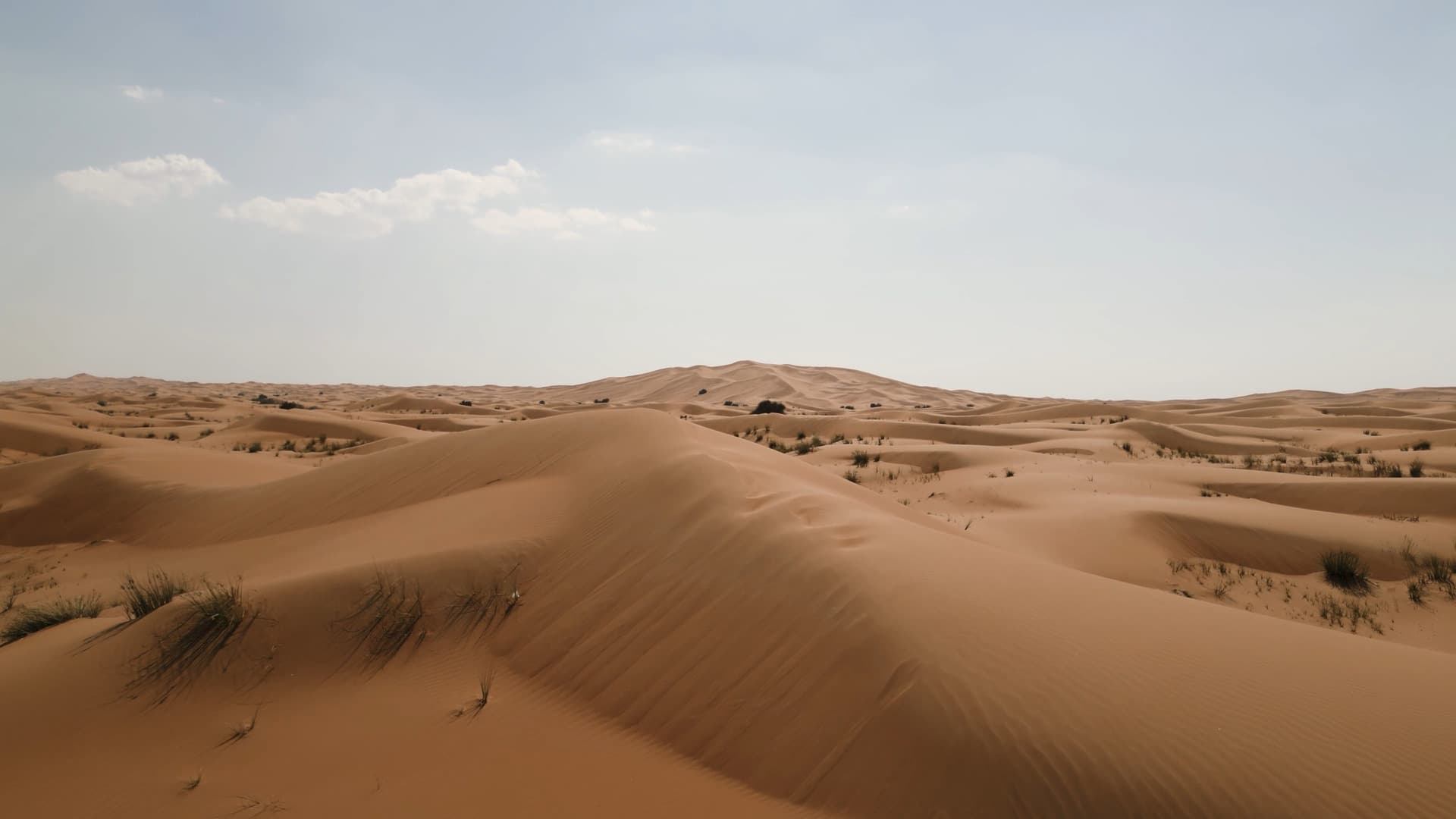 Custom Software Development